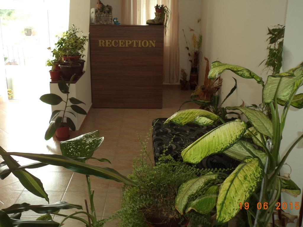 סוזופול Sveti Georgi Guest House מראה חיצוני תמונה