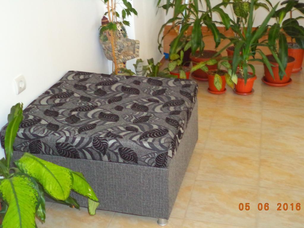 סוזופול Sveti Georgi Guest House מראה חיצוני תמונה
