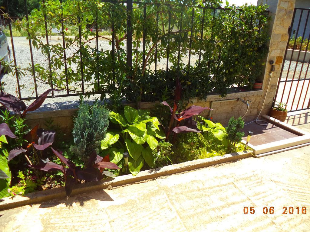 סוזופול Sveti Georgi Guest House מראה חיצוני תמונה
